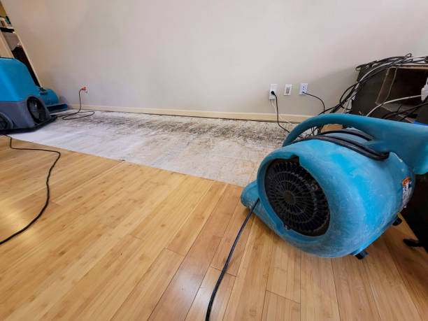 Reliable Basement Flood Cleanup contractor in Alexander, NC by Hirex Water Damage