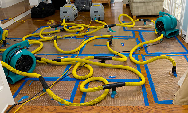 Professional Basement Flood Cleanup technician working in Alexander, NC