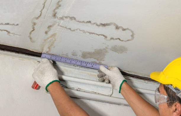 Affordable Basement Flood Cleanup solutions in Alexander, NC